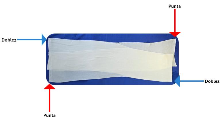 Paso 3.1