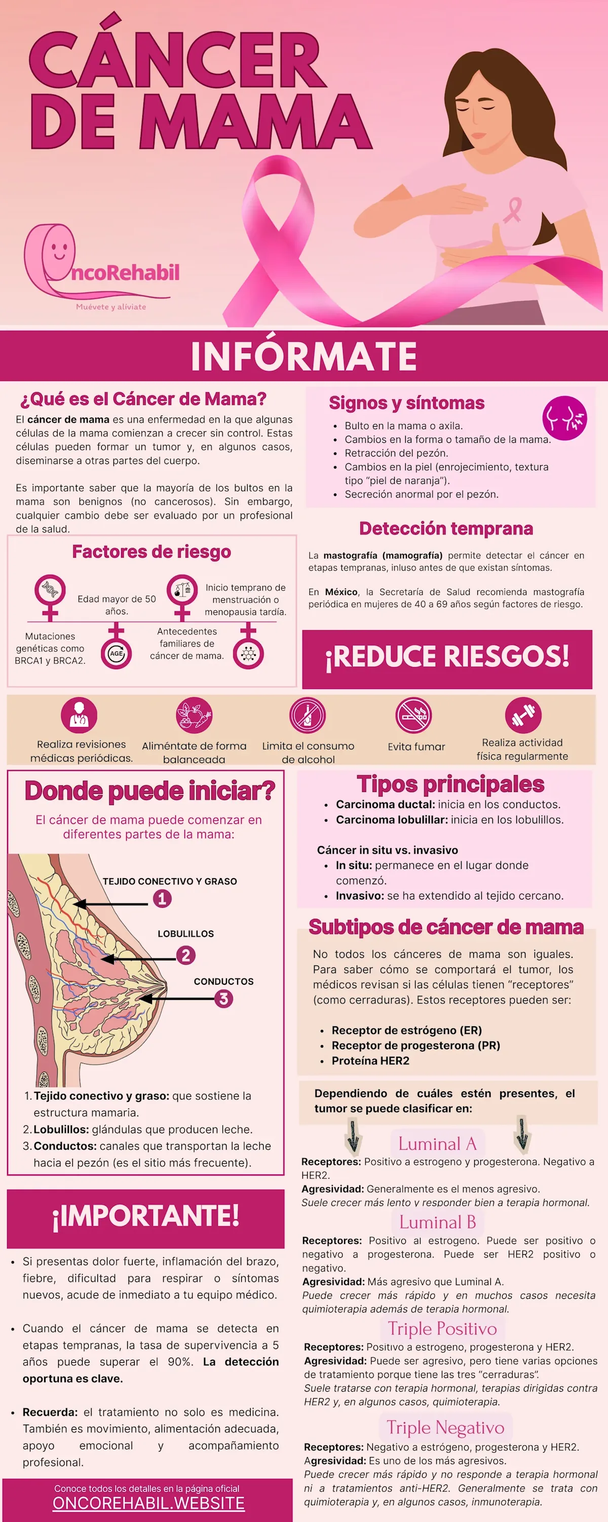 Infografía: ¿Qué es el cáncer de mama?
